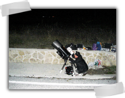 MAURIZIO POLAR